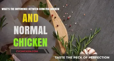Corn-Fed Chicken: Is It Really Better?