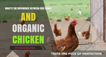 Free-Range vs Organic: Chicken's Life Explored