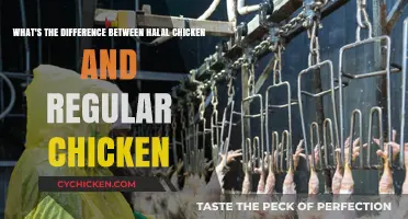 Halal Chicken: What Sets it Apart?
