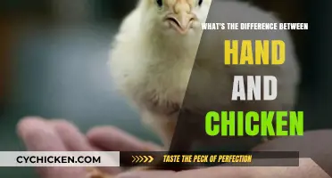 Hands vs. Chickens: Unraveling the Unique Differences and Traits