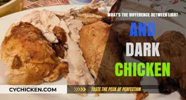 Chicken Meat: Light vs Dark Explained