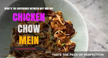 Chicken Chow Mein: Wet vs Dry