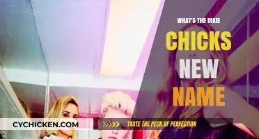 The Dixie Chicks' Rebrand: Unveiling Their New Name and Identity