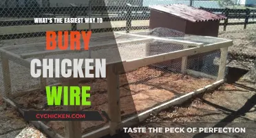 The Quickest Way to Bury Chicken Wire