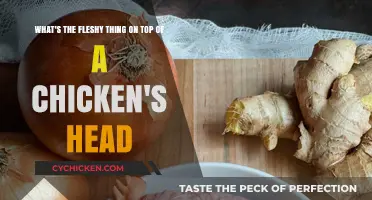 What's That Fleshy Thing on a Chicken's Head?