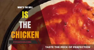 Unraveling the Mystery: What on Earth is the Chicken?