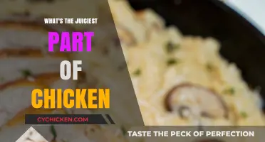 Unveiling the Chicken's Most Tender and Juiciest Part: A Culinary Guide