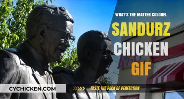 Colonel Sandurz Chicken GIF: Decoding the Viral Sensation and Its Meaning