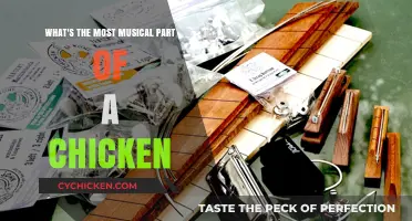 The Musical Chicken: Clucks, Drums, and Strums