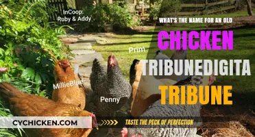 The Mystery of Aging Chickens: What's in a Name?