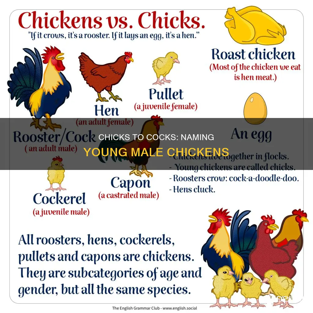what