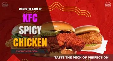 KFC's Fiery Favorite: Unveiling the Name of Their Spicy Chicken