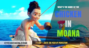 The Chicken in Moana: Heihei's Name and Backstory