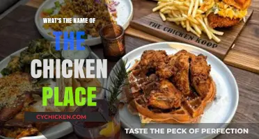 Discovering the Name of That Famous Chicken Restaurant Near You