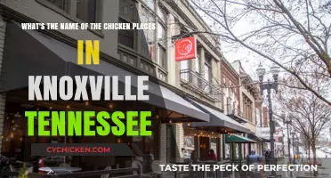 Knoxville's Best Chicken: Top Restaurant Names Revealed