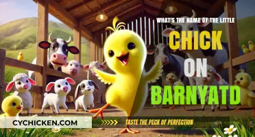 Who's the Little Yellow Chick on Barnyard?