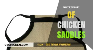 Why Chicken Saddles Are Essential for Happy, Healthy Hens