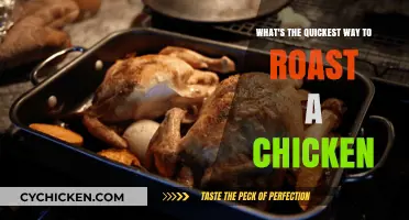 Quickest Chicken Roast: Simple Steps for Juicy, Perfectly Cooked Bird