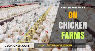 Chicken Nutrition: Balancing the CNP Ratio