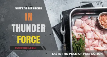 Thunder Force's Raw Chicken Mystery: Unraveling the Unexpected Plot Twist