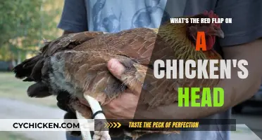 The Red Crest: What's the Deal?