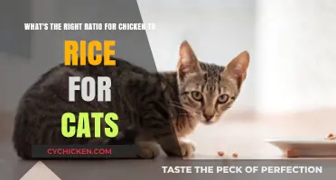 Chicken and Rice for Cats: The Perfect Ratio