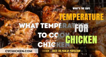 Safe Chicken Cooking: Ideal Temperature for Juicy, Healthy Meals
