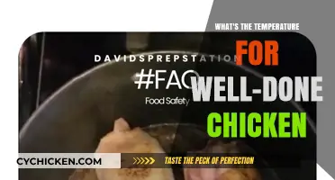 Perfectly Cooked Chicken: Ideal Temperature for Well-Done Delight