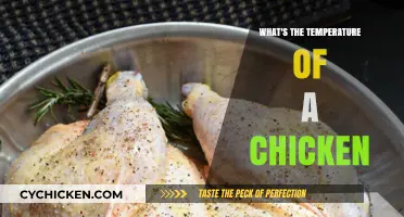 Understanding the Ideal Temperature for Cooking Perfect Chicken Every Time
