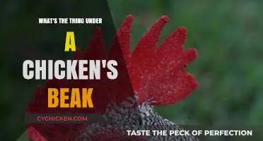 The Chicken's Beak: What's Underneath?