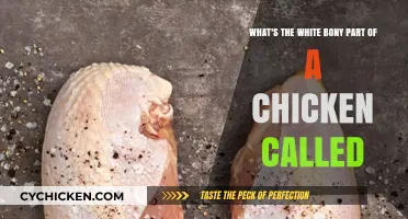 Chicken Anatomy: What's That White Bony Bit?