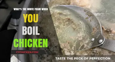 The Mystery of Boiling Chicken: What's That White Foam?