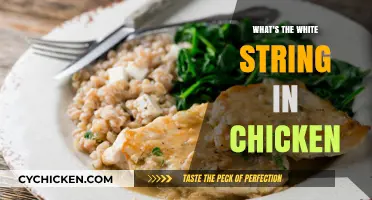 Understanding the White String in Chicken: Facts, Myths, and Safety