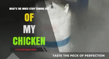 Chicken Mystery: What's That White Stuff?