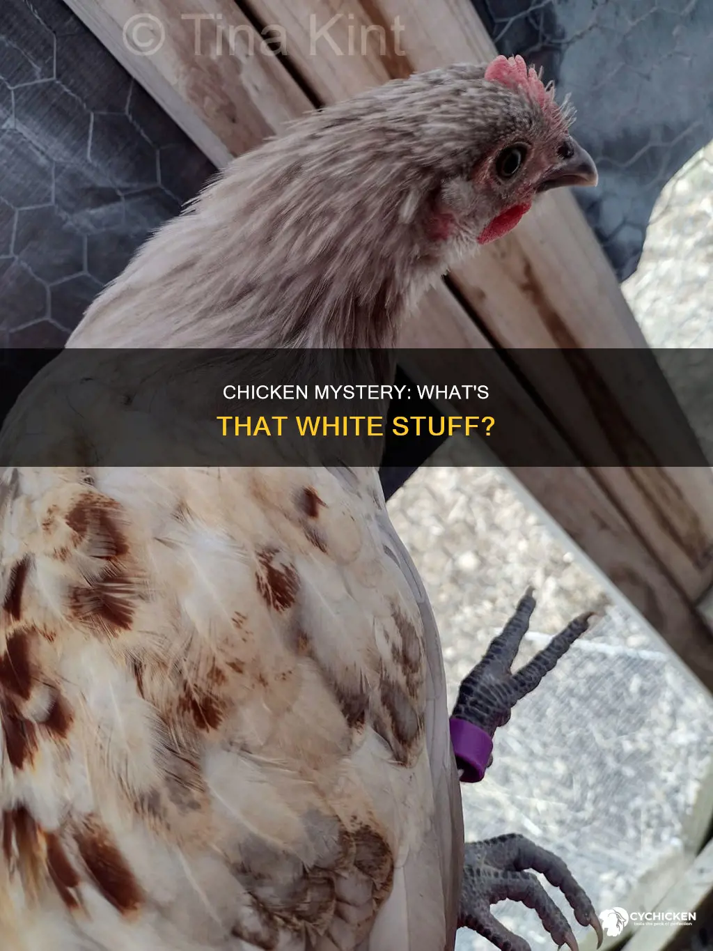 what