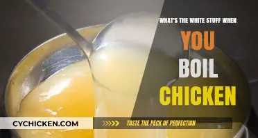 The Mystery of Chicken Broth: What's That White Stuff?