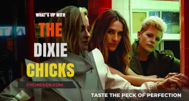 Dixie Chicks' Evolution: From Country Darlings to Political Trailblazers