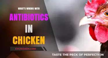 Antibiotics in Chicken: Hidden Dangers and Health Risks Explained
