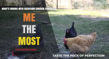 Backyard Chickens: What I Wish I'd Known