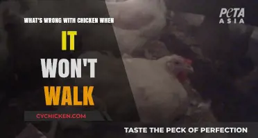 Chicken Won't Walk? Here's What's Wrong