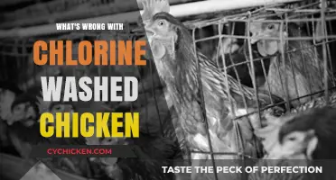Chlorine-Washed Chicken: Uncovering Health, Environmental, and Ethical Concerns
