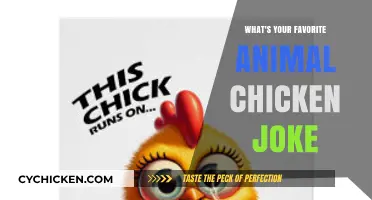 Cluck and Laugh: Sharing My Favorite Chicken Joke with You