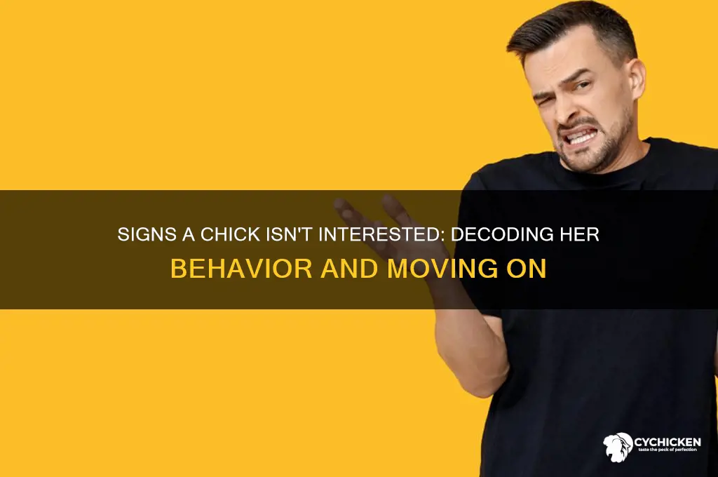 when a chick is not that into you