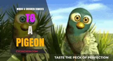 Whimsical Moves: A Chicken's Dance to a Pigeon's Tune