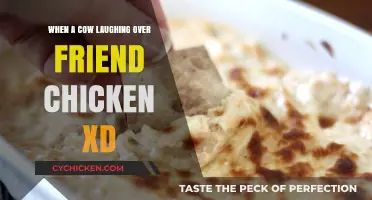 Cow's Laughter: The Hilarious Reaction to Friend Chicken Explained