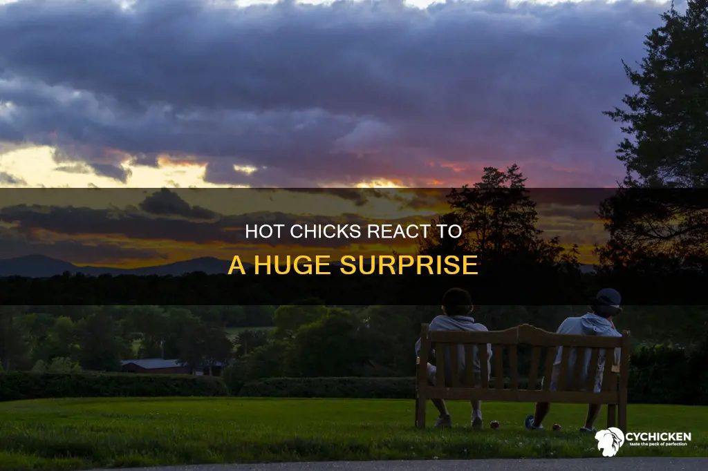 when a hot chicks see s a huge cock