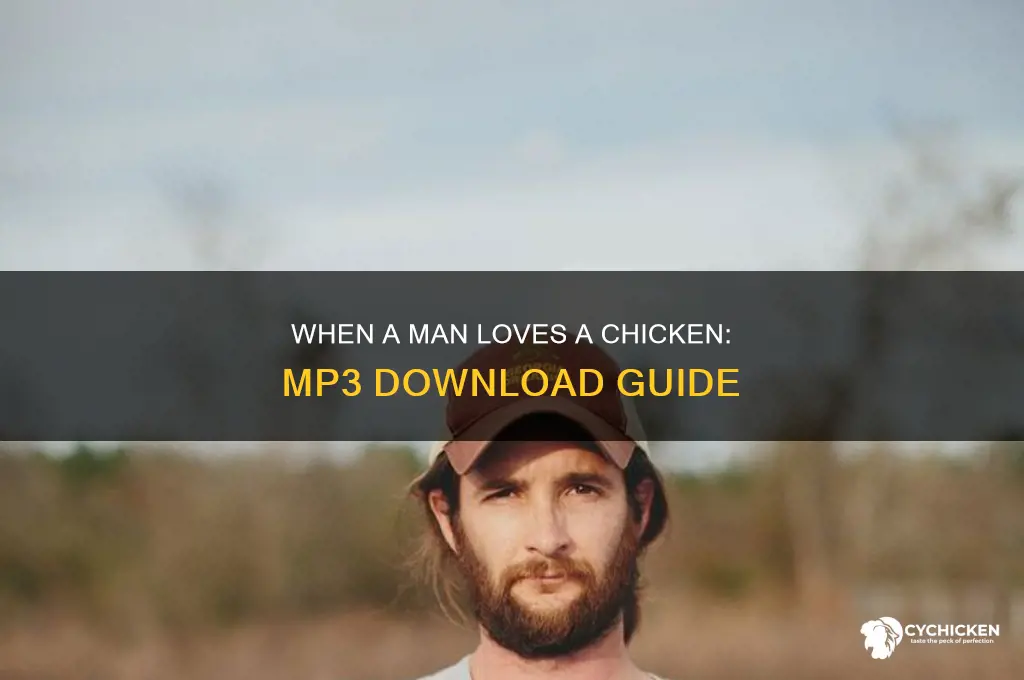 when a man loves a chicken mp3