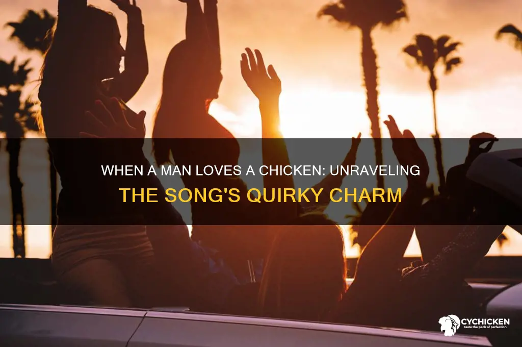 when a man loves a chicken song