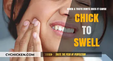 Toothache Troubles: Swelling Chick Mystery
