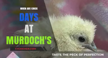Discover Murdoch's Chick Days Schedule: When to Visit for Baby Chicks